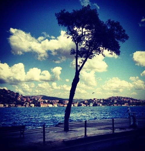 Twitterda fotoğrafçı oldular Twitterda fotoğrafçı oldular
