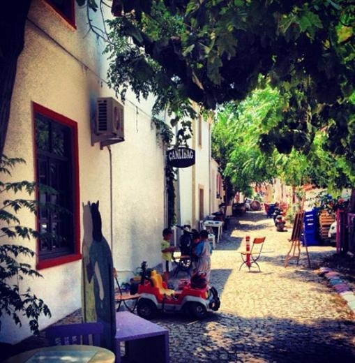 Twitterda fotoğrafçı oldular Twitterda fotoğrafçı oldular