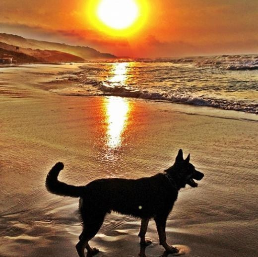 Twitterda fotoğrafçı oldular Twitterda fotoğrafçı oldular