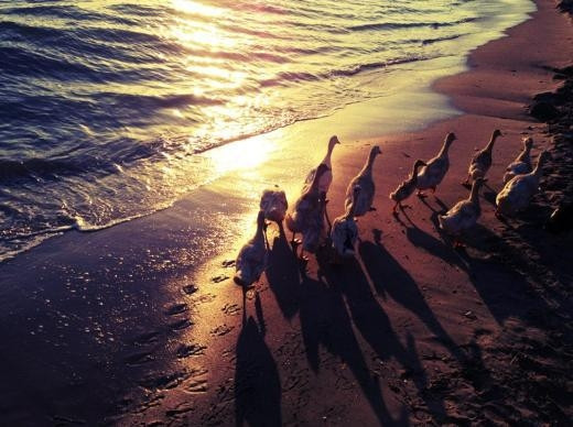 Twitterda fotoğrafçı oldular Twitterda fotoğrafçı oldular