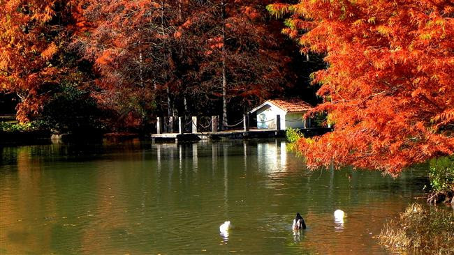 Sonbahar Mevsiminin En Güzel Yaşandığı 30 Yer