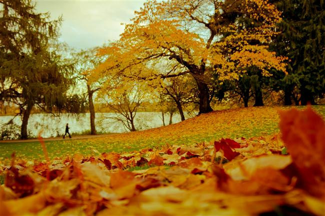 Sonbahar Mevsiminin En Güzel Yaşandığı 30 Yer