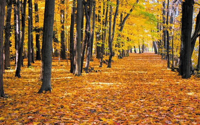 Sonbahar Mevsiminin En Güzel Yaşandığı 30 Yer