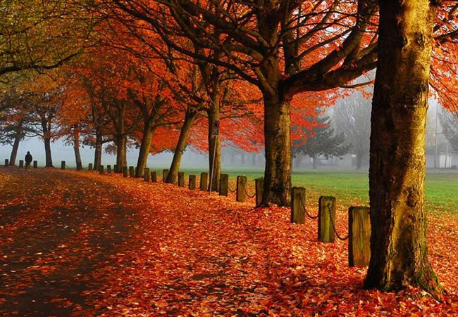 Sonbahar Mevsiminin En Güzel Yaşandığı 30 Yer