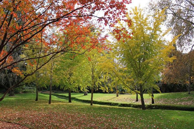 Sonbahar Mevsiminin En Güzel Yaşandığı 30 Yer