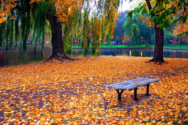 Sonbahar Mevsiminin En Güzel Yaşandığı 30 Yer