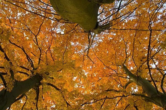 Sonbahar Mevsiminin En Güzel Yaşandığı 30 Yer