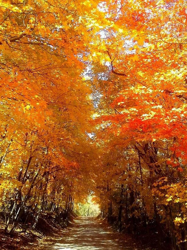 Sonbahar Mevsiminin En Güzel Yaşandığı 30 Yer