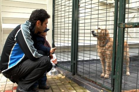 Kocam beni aldattı