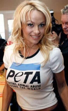 PAMELA HEPATİT C OLMUŞTU