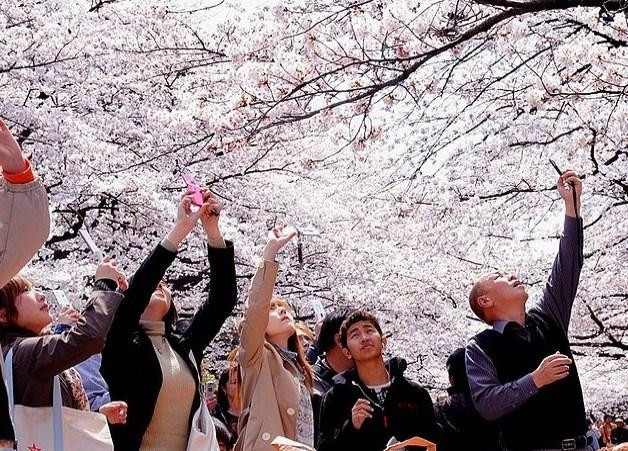 Turistik Gezilerde Hayaller ve Gerçekler