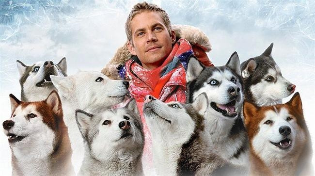 Kutup Macerası / Eight Below (2006) | IMDb: 7.3