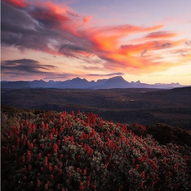 40 Fotoğrafla Tazmanya