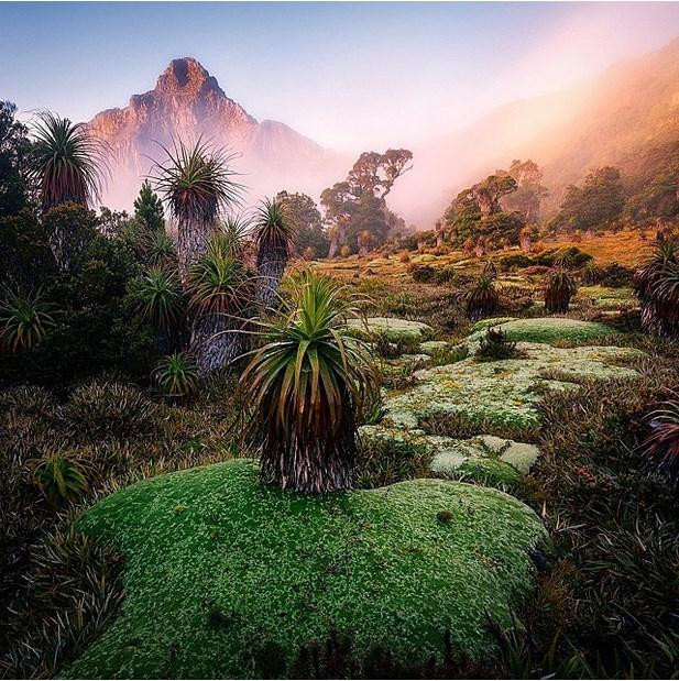 40 Fotoğrafla Tazmanya
