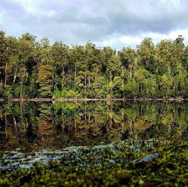 40 Fotoğrafla Tazmanya
