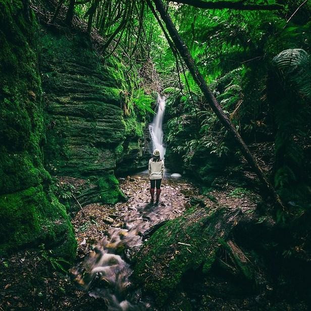 40 Fotoğrafla Tazmanya