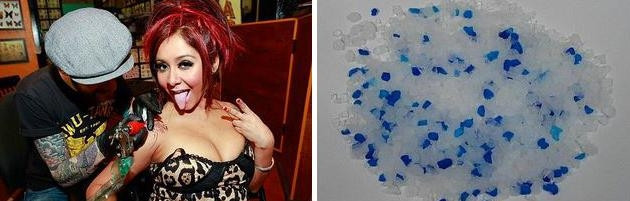 2. Snooki ve Kedi Kumu