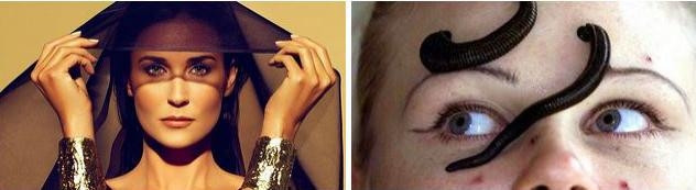 4. Demi Moore ve Sülükleri