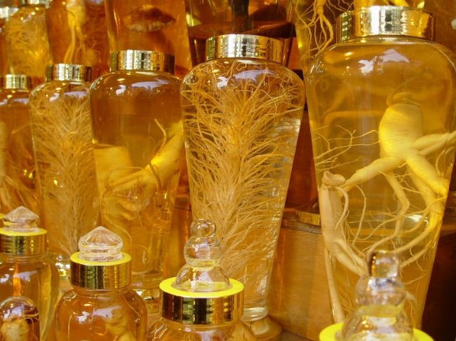 Ginseng:
