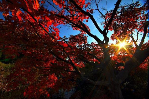 Yağmurda Türkiyede Gezilecek 10 Yer