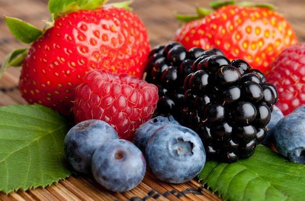 Yaban Mersini, Böğürtlen, Çilek