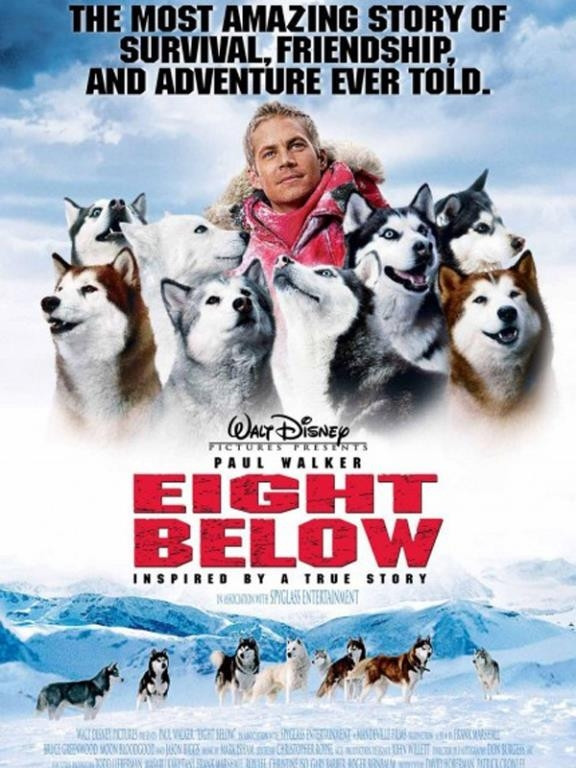 Kutup Macerası (Eight Below)