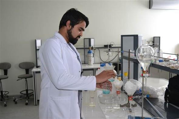 Böcek Zırhından Zayıflama Hapı Yaptılar