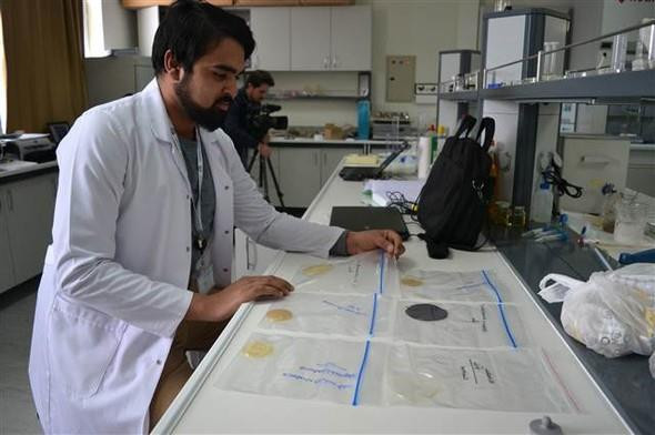 Böcek Zırhından Zayıflama Hapı Yaptılar