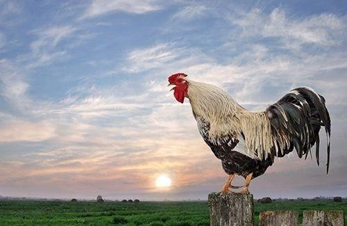 Türklerin İlginç Batıl İnançları