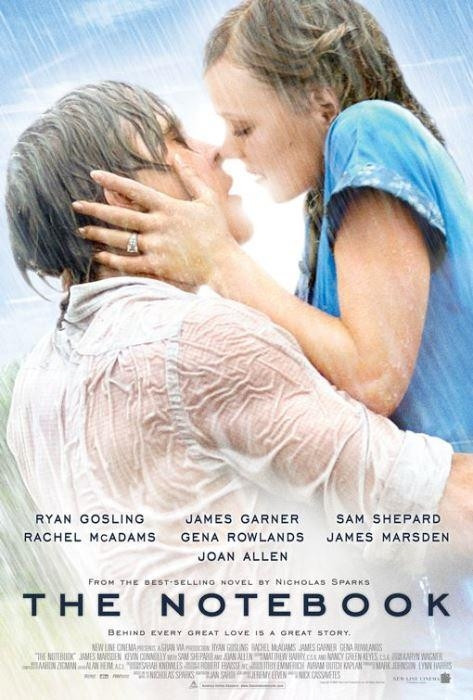 The Notebook (Not Defteri) (2004):