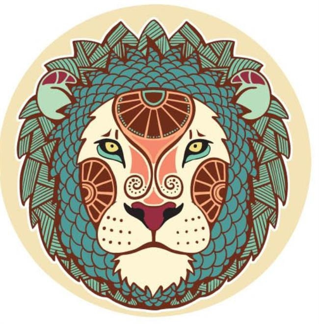 ASLAN BURCU