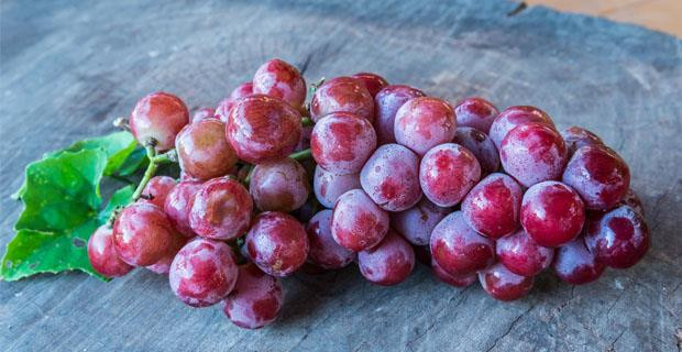 Kırmızı üzüm