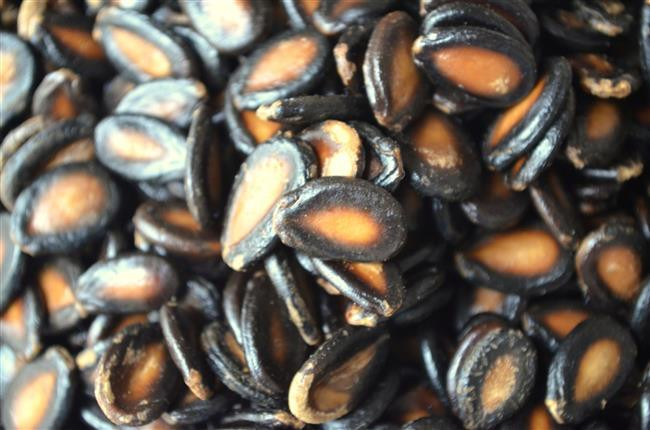 Spor Yapmaya Son 1 Bardak Karpuz Çekirdeği...