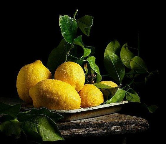 Limon Limon