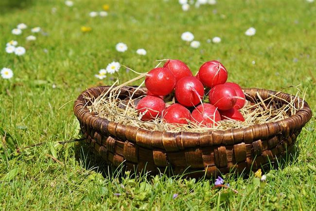Turpun Faydaları Nelerdir Turp Nasıl Tüketilmeli Turpun Faydaları Nelerdir Turp Nasıl Tüketilmeli