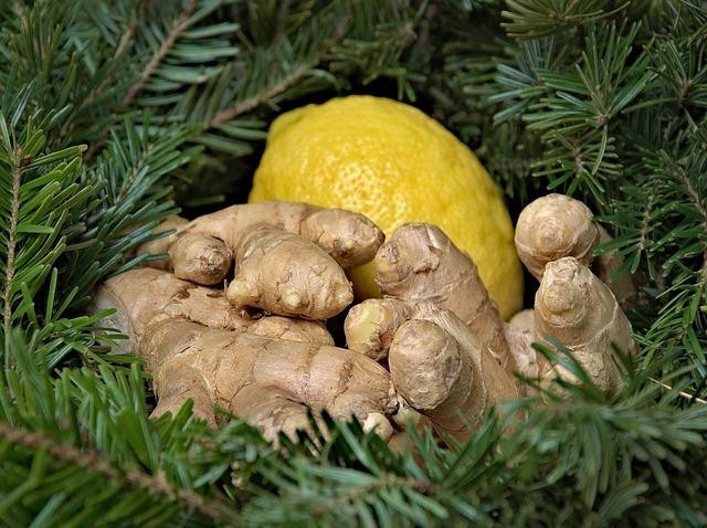 Zencefil Zencefil