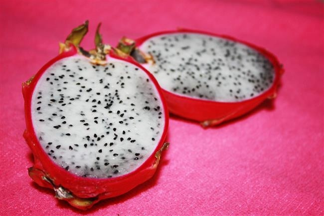 Gitti Passiflora, Gelsin Pitaya