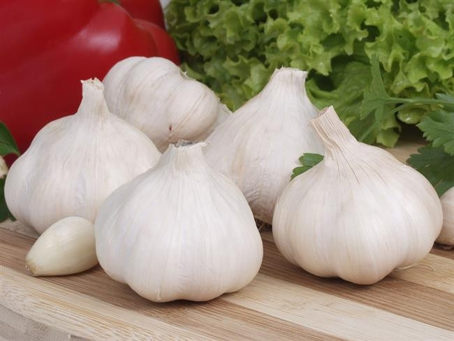 BESİN ZEHİRLENMELERİNE KARŞI SAVAŞIR