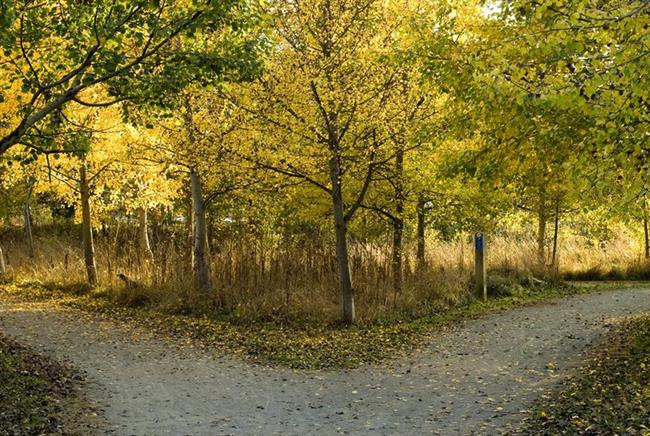 6-Ormanlık bir yolda yürürken bir yol ayrımına geliyorsun. Yollardan biri ölümle sonuçlanıyor; diğeri ebedi mutluluğa gidiyor. Ama sen hangisinin hangisi olduğunu bilmiyorsun. Yol ayrımının başladığı yerde hangisinin hangisi olduğumu bilen 2 kardeşle karşılaşıyorsun. Kardeşlerden biri her zaman doğruyu söyler, diğeri ise yalancıdır. Ve onlara sadece 1 soru sorma hakkın var. Bu durumda hangi yoldan gideceğini nasıl belirlersin 6-Ormanlık bir yolda yürürken bir yol ayrımına geliyorsun. Yollardan biri ölümle sonuçlanıyor; diğeri ebedi mutluluğa gidiyor. Ama sen hangisinin hangisi olduğunu bilmiyorsun. Yol ayrımının başladığı yerde hangisinin hangisi olduğumu bilen 2 kardeşle karşılaşıyorsun. Kardeşlerden biri her zaman doğruyu söyler, diğeri ise yalancıdır. Ve onlara sadece 1 soru sorma hakkın var. Bu durumda hangi yoldan gideceğini nasıl belirlersin