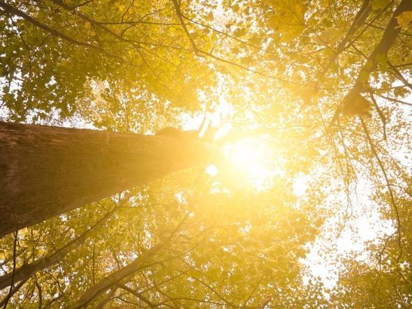 Güneş ışığından faydalanın