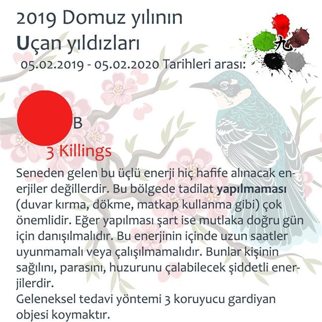 2019 Feng Shui Enerjileri