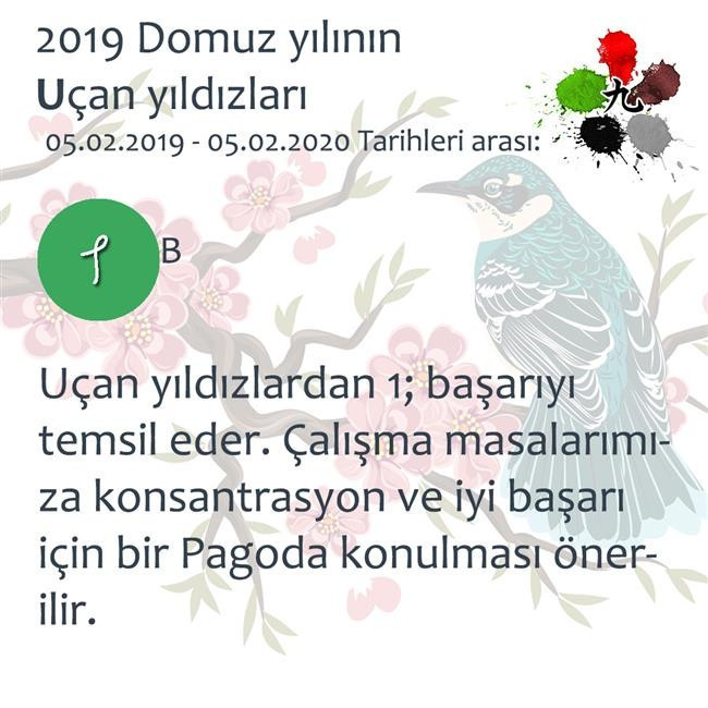 2019 Feng Shui Enerjileri