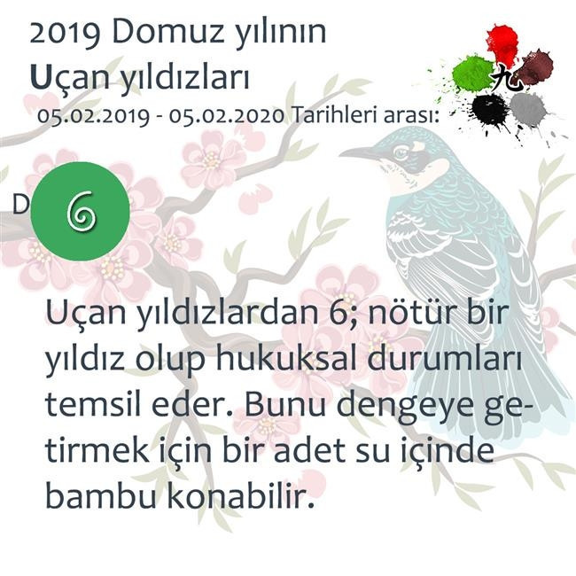 2019 Feng Shui Enerjileri