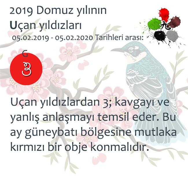 2019 Feng Shui Enerjileri