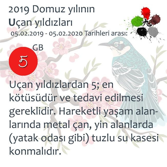 2019 Feng Shui Enerjileri