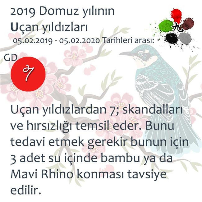 2019 Feng Shui Enerjileri