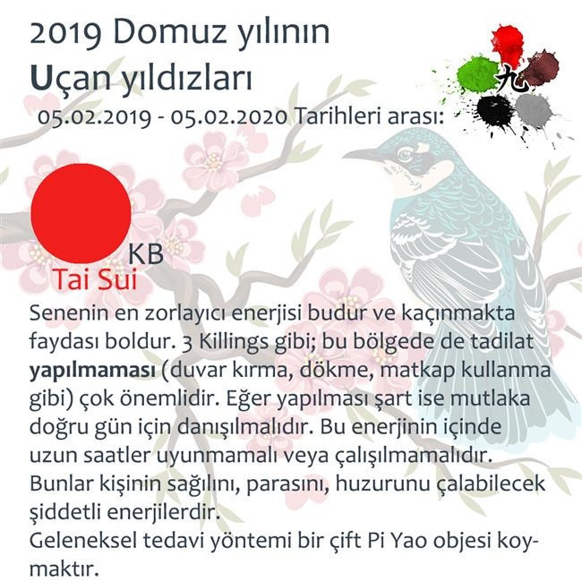 2019 Feng Shui Enerjileri