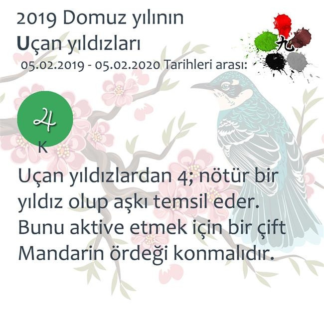 2019 Feng Shui Enerjileri