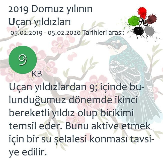 2019 Feng Shui Enerjileri