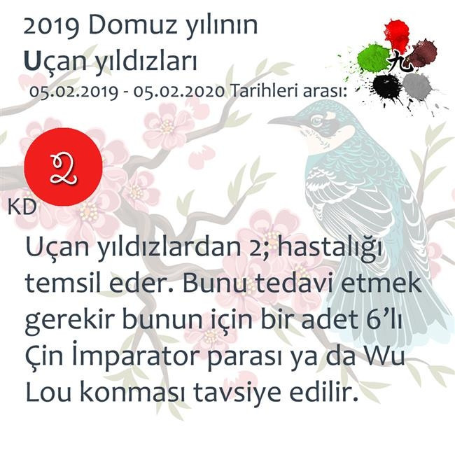 2019 Feng Shui Enerjileri